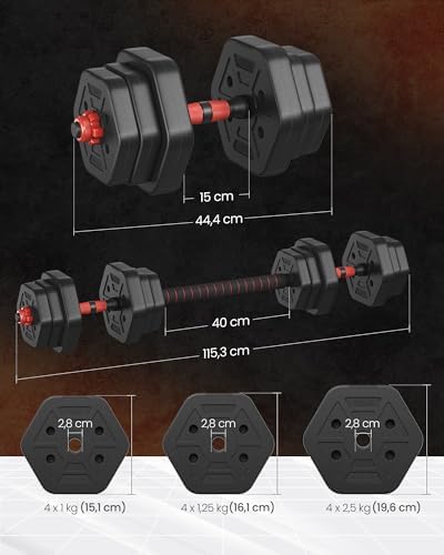 SONGMICS Hantelset 10-40 kg, Hexagon Hanteln mit Verbindungsstange für effektives Home-Workout und Fitnesstraining